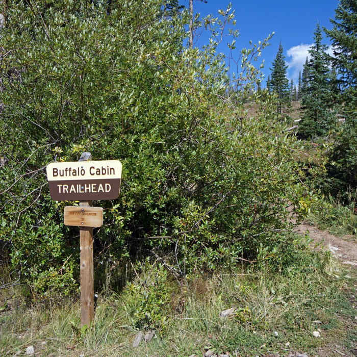 Near Buffalo Cabin + Buffalo Mountain Hike
