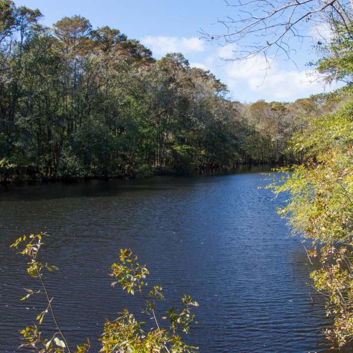 Near Weston Lake Loop Near Weston Lake Loop