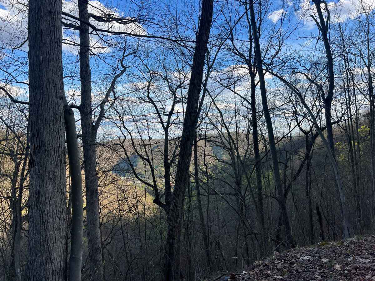 Q39B trail photo