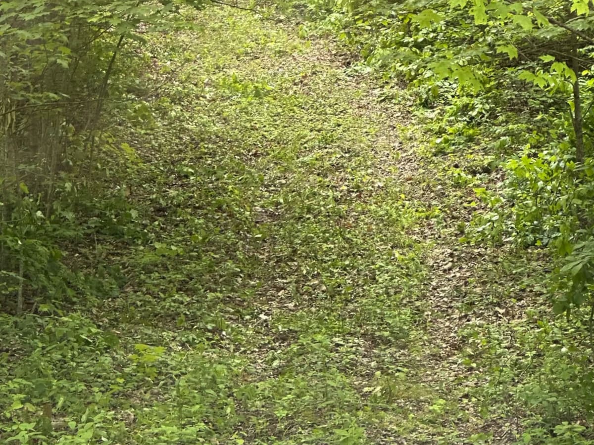 101b photo 5