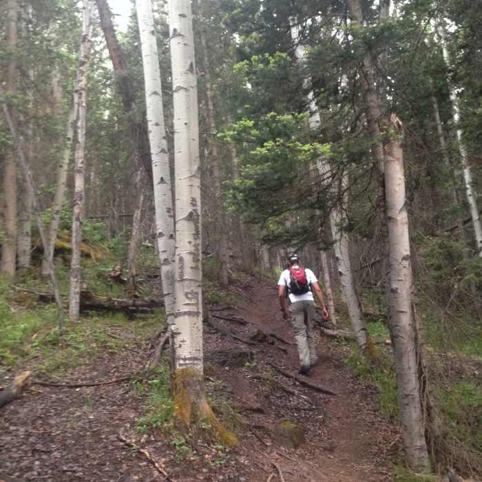 Near Valley Floor Trail
