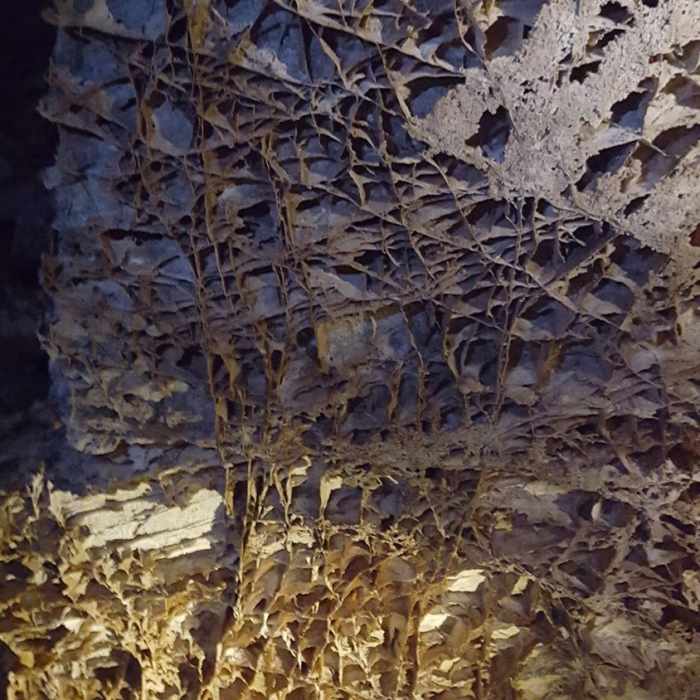 Near Prairie Vista Trail