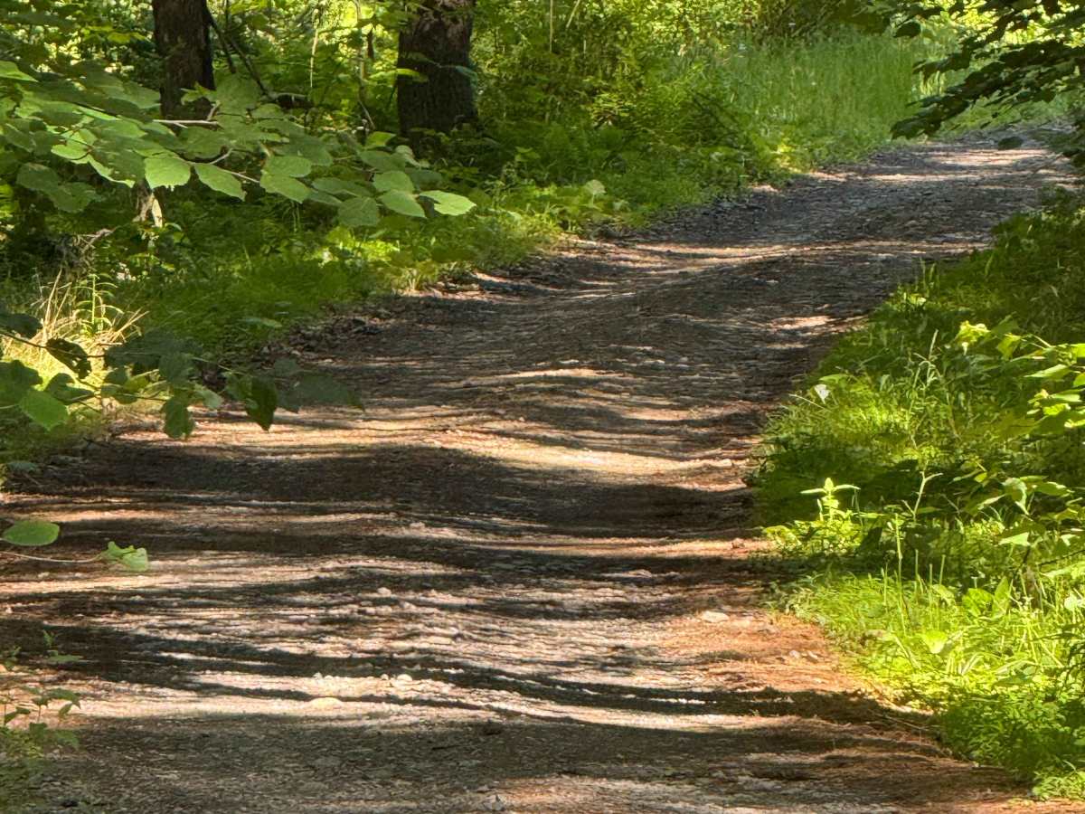 Play Pit Trail photo 5