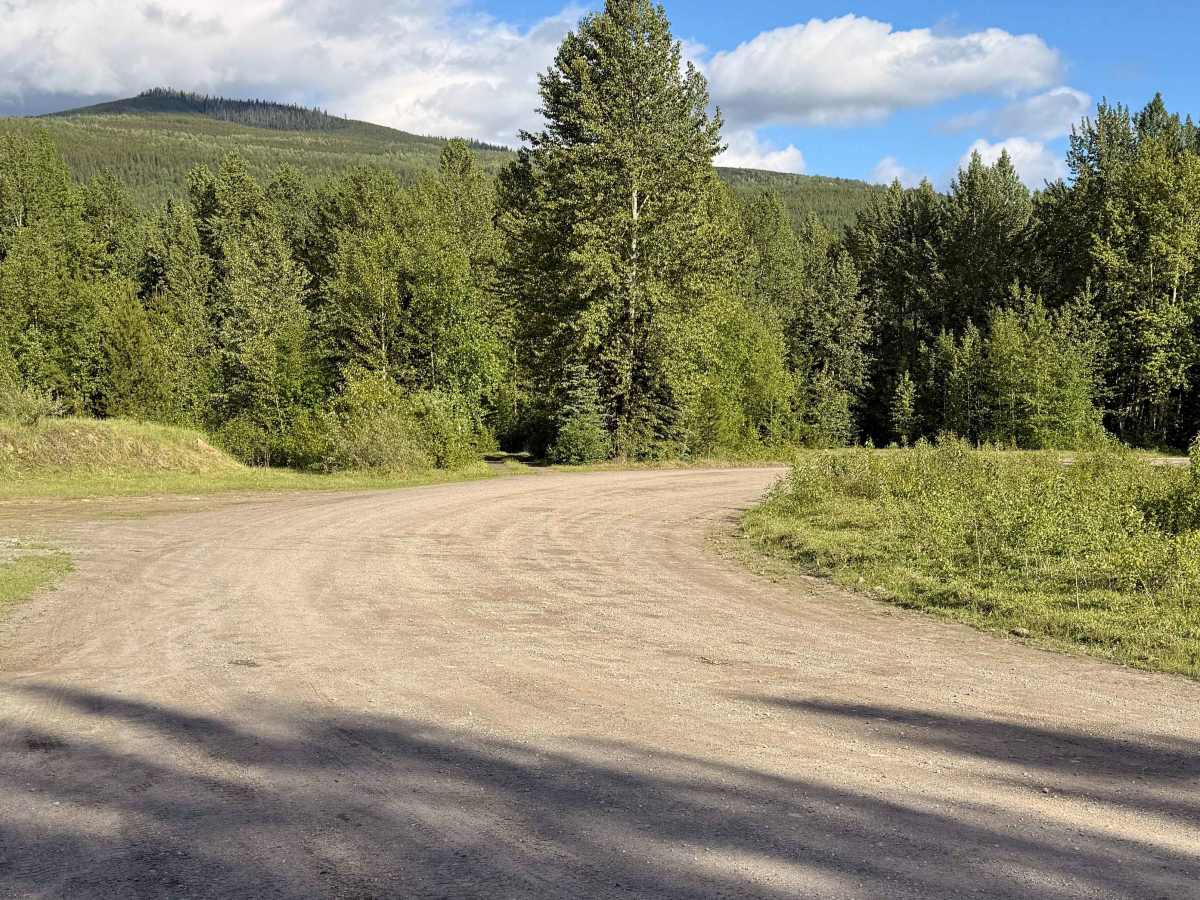 The Back Road photo 3