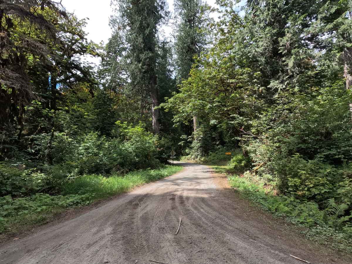 Shuksan Creek - FS 1152 trail photo