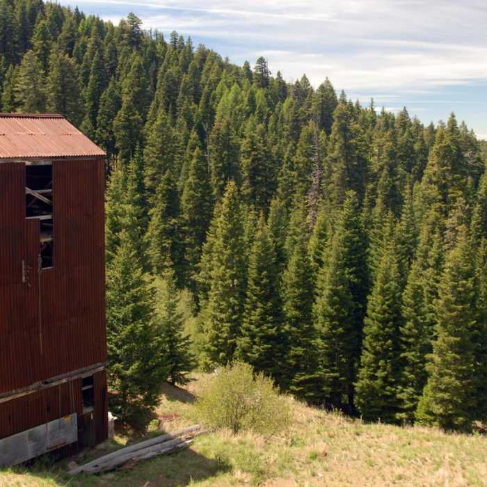 Near Lookout Mountain + Mother Lode Mine