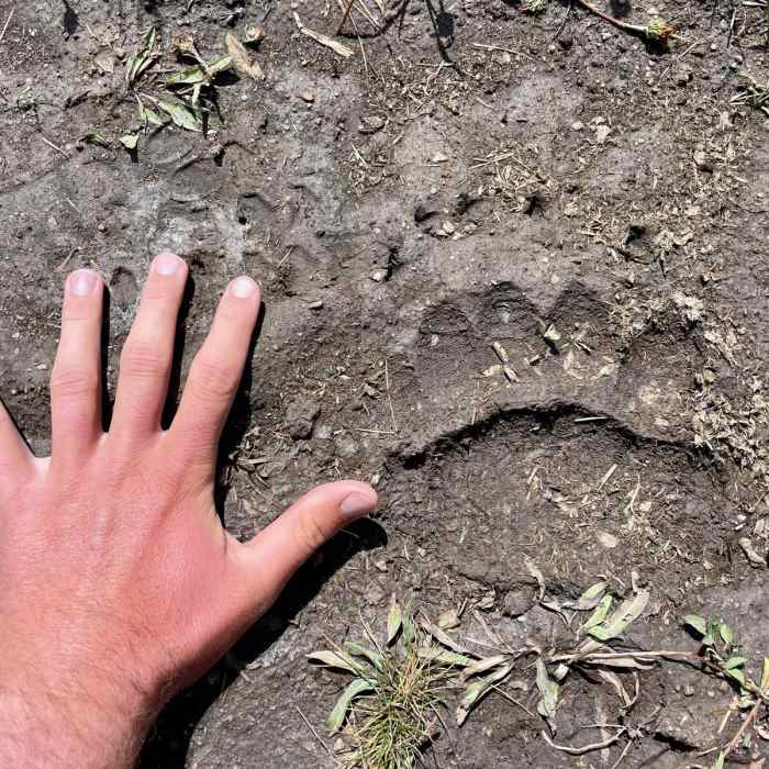 Near Continental Divide Trail: Wyoming Section 16 + Lava Mountain Lodge Alternate