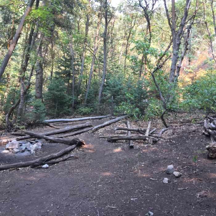 Plenty of room for tents at Hell Hole Camp. Near Davis Creek