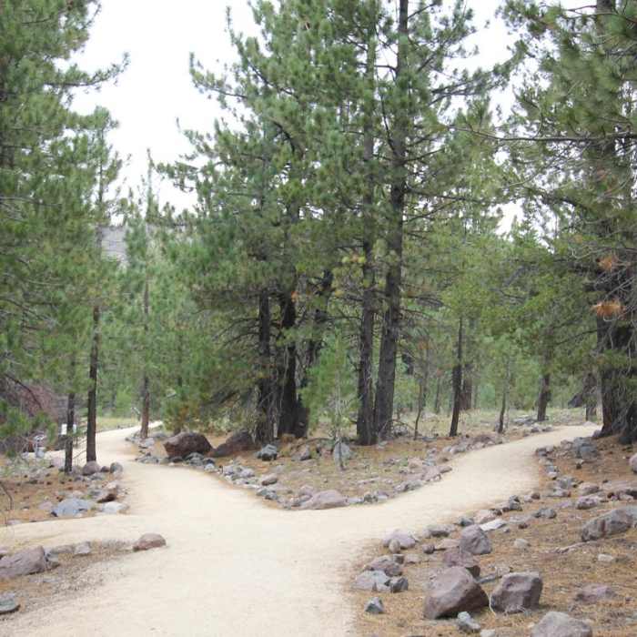 Near Devastated Area Interpretive Trail