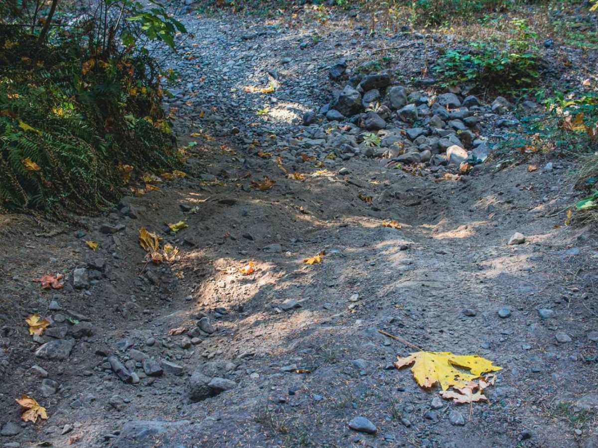 Cispus Valley trail photo