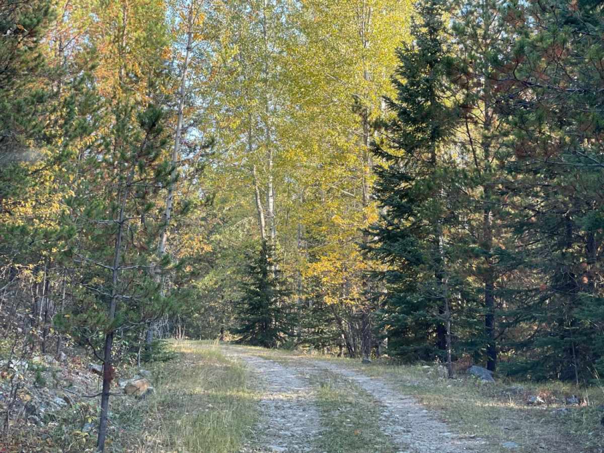 Private Camp photo 3