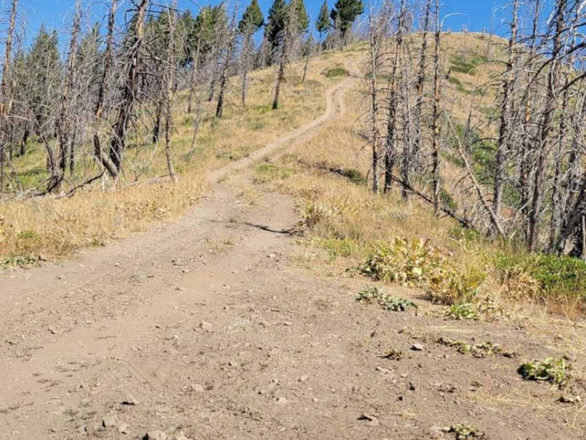 Warm Springs Creek Trail trail photo
