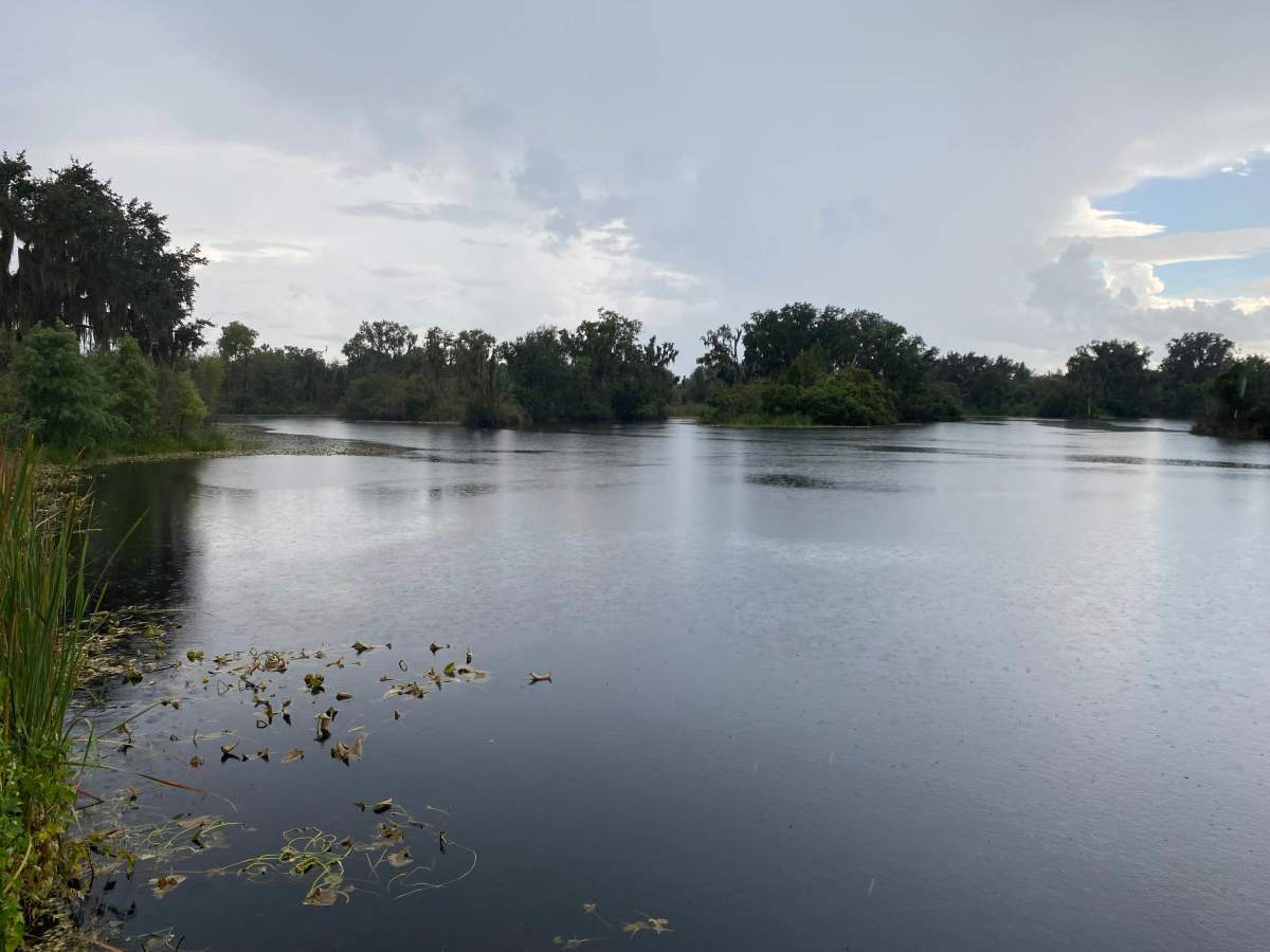 Paddling Trail Road photo 5