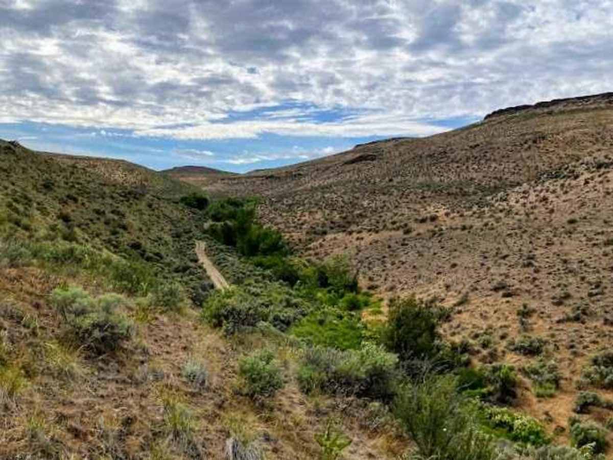 Cayuse Creek Cruise photo 4