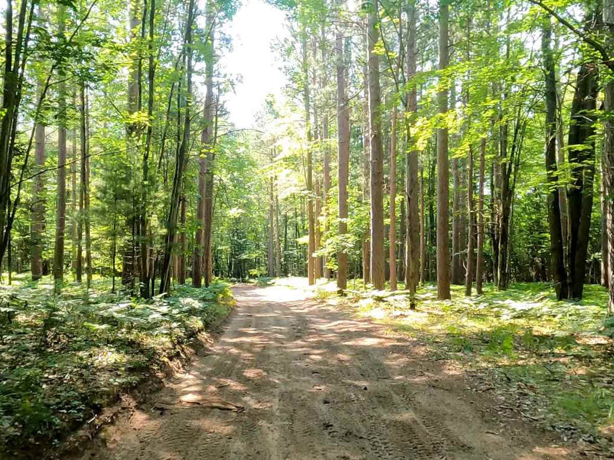 131 To Missaukee Trail trail photo