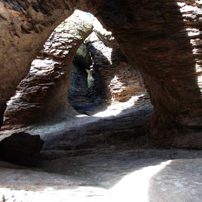 Near Chiricahua Canyon Big Loop