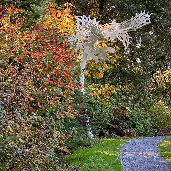 Near Jackson Park Trail