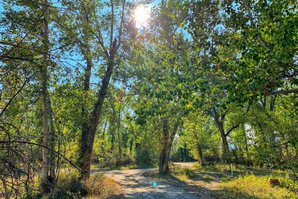 Pennal Gulch River Access