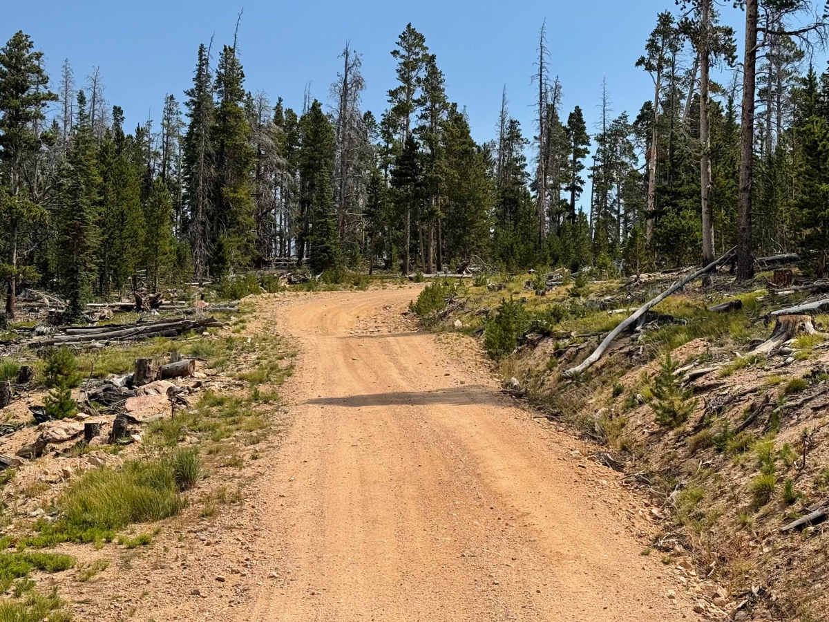 Roaring Creek Road photo 4