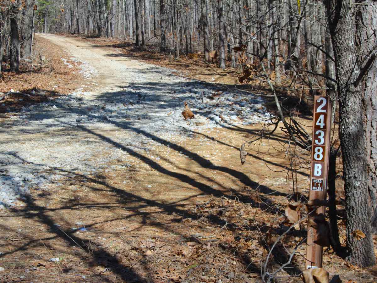 Flatwoods Spur B - FS 2438B photo 2