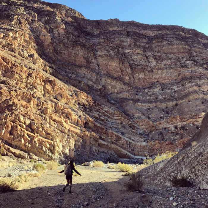 Near Marble Canyon Petroglyphs