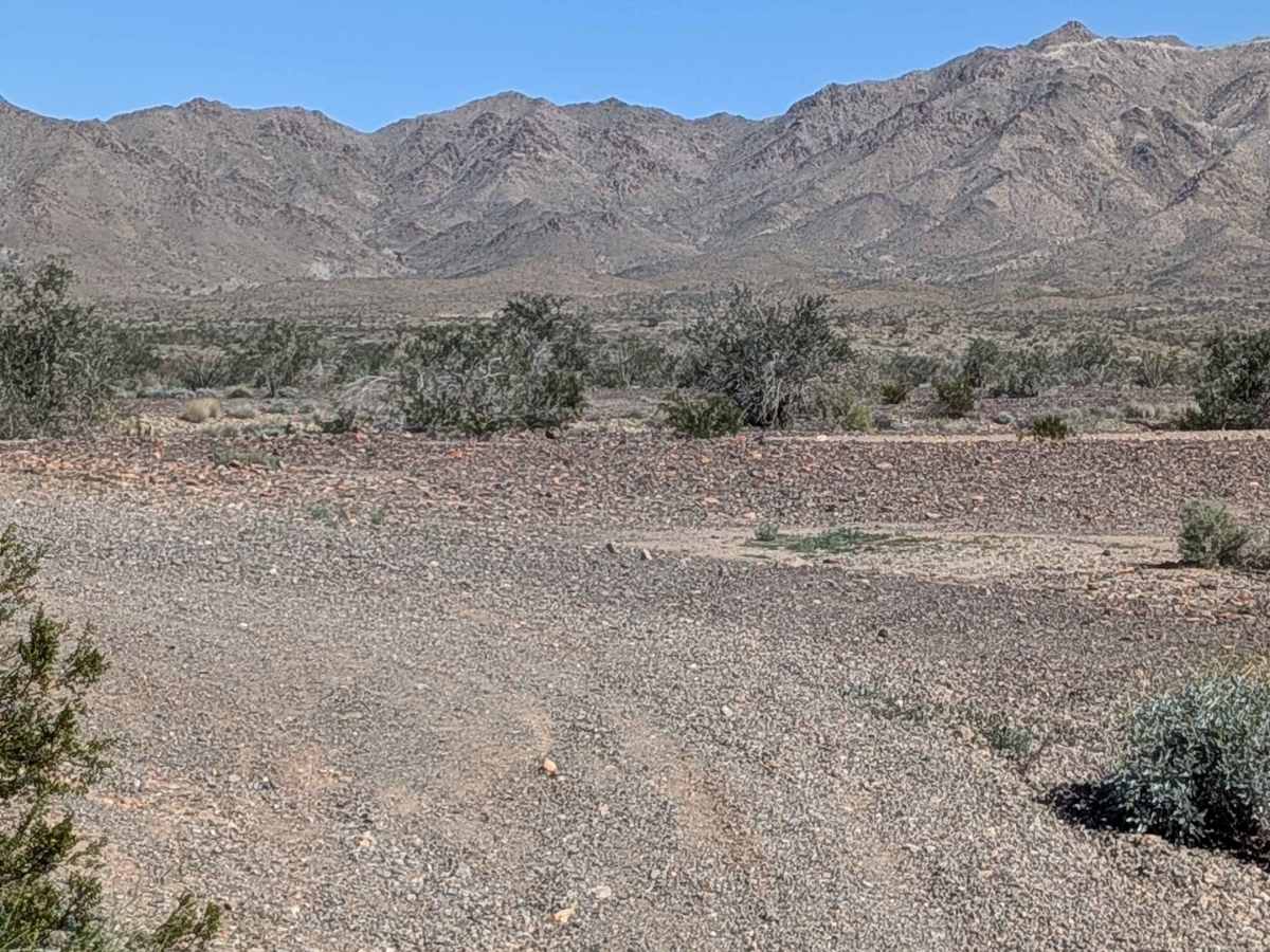 BLM 311 photo 4