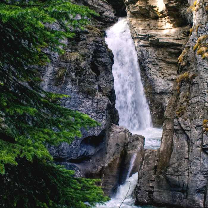 Near Johnston Canyon Lower Falls - ADA