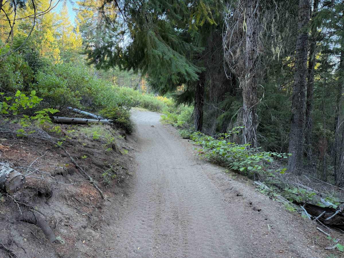 Maze Trail   photo 5