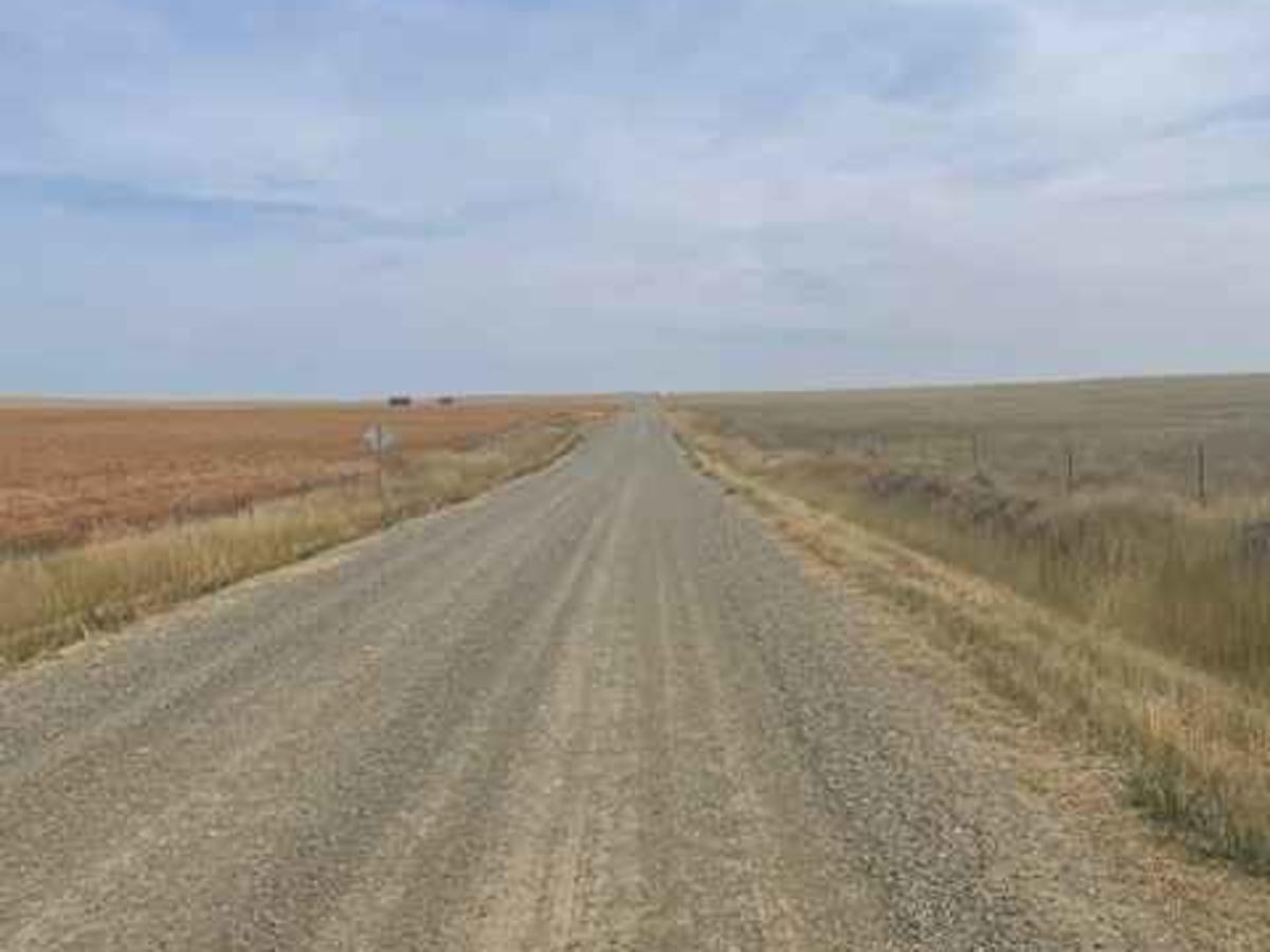 Columbus Molt Road photo 5
