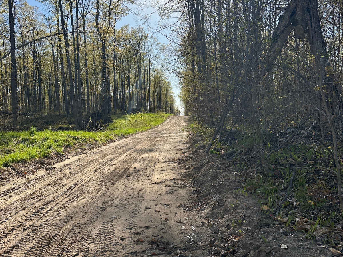 Papoose Lake Road trail photo