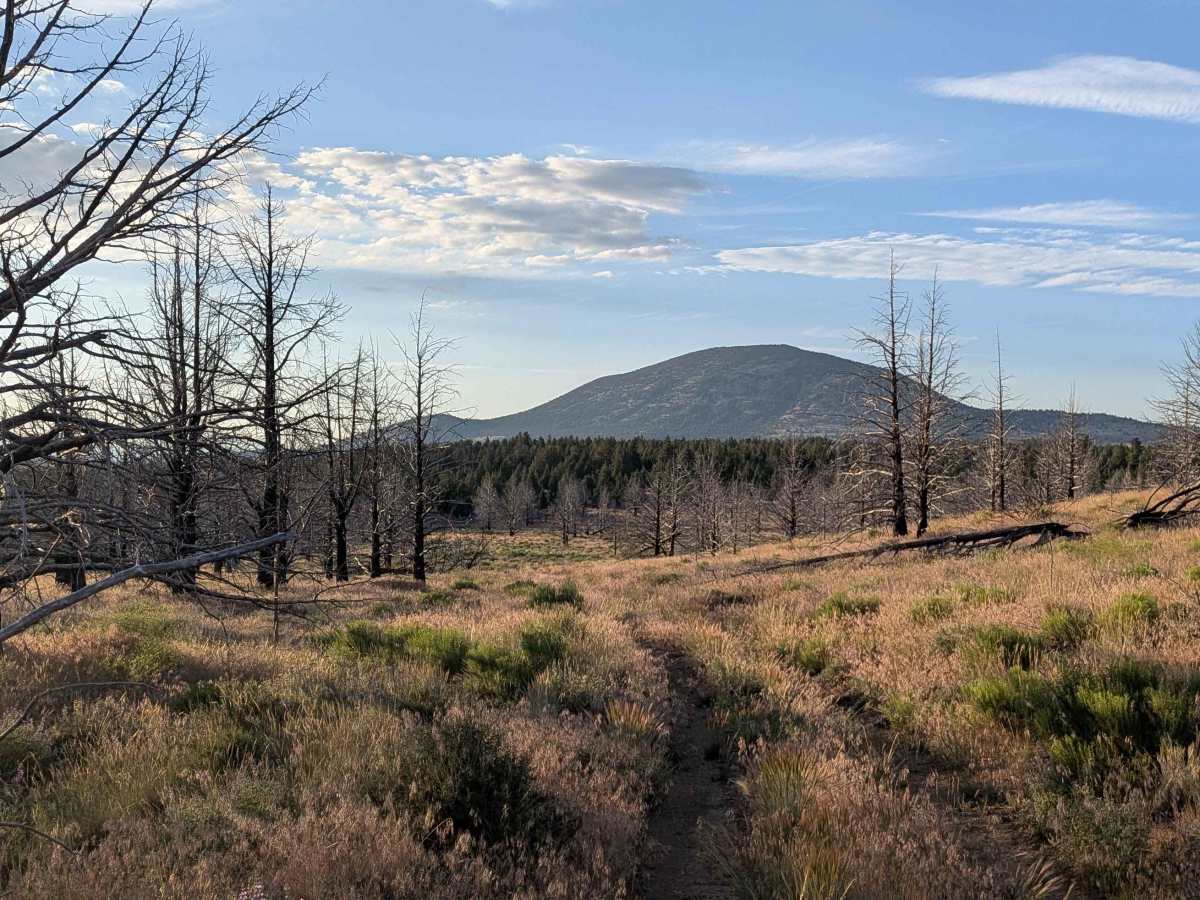 FS 46A21K trail photo