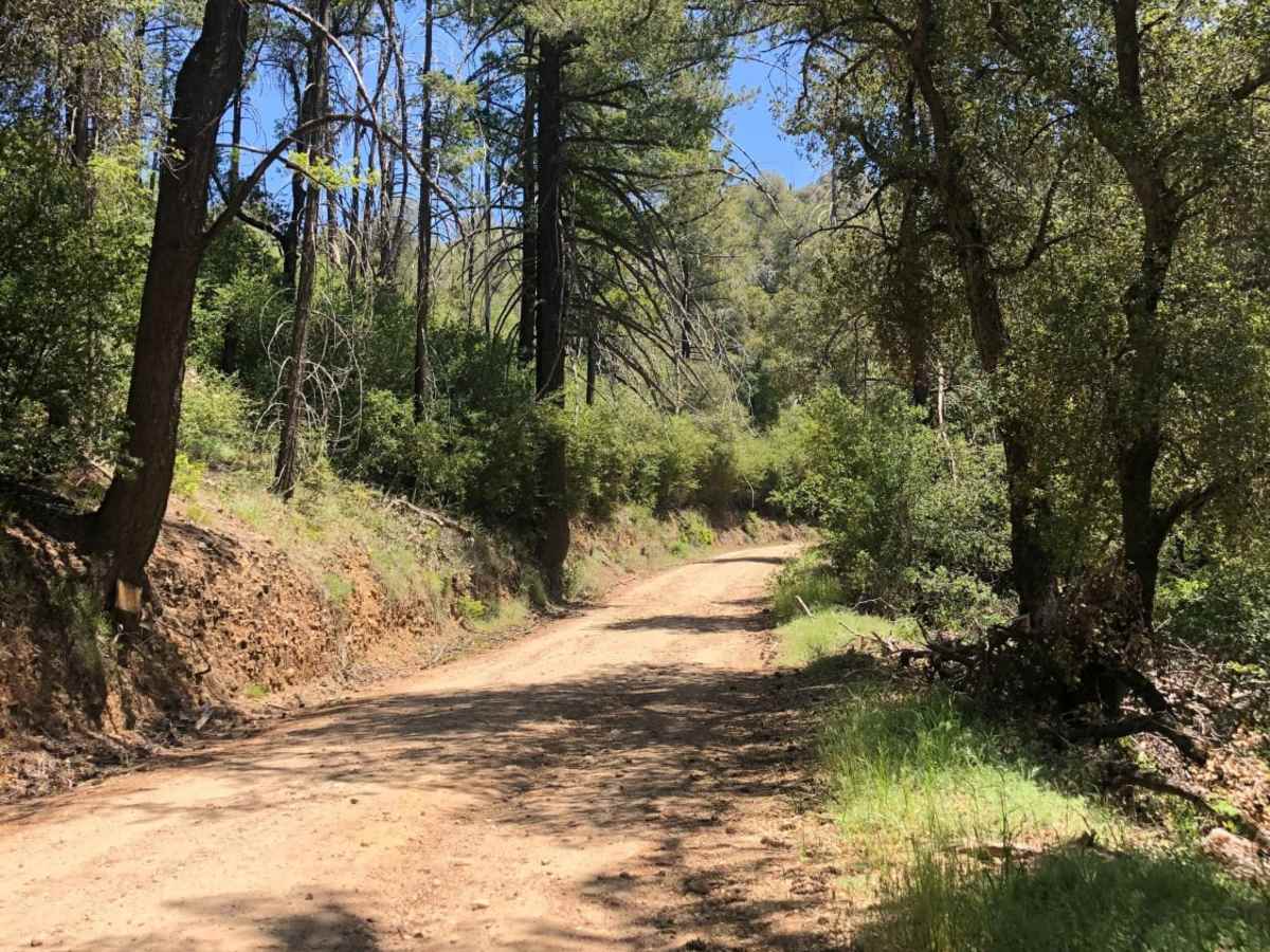 Nate Harrison Grade trail photo