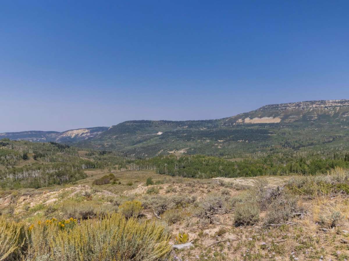 Middle Mountain Ridge trail photo