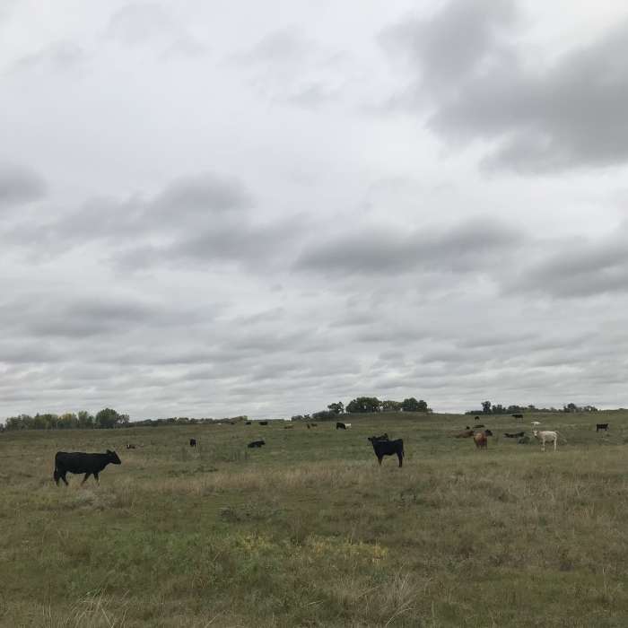 Near Oak Leaf Loop Trail