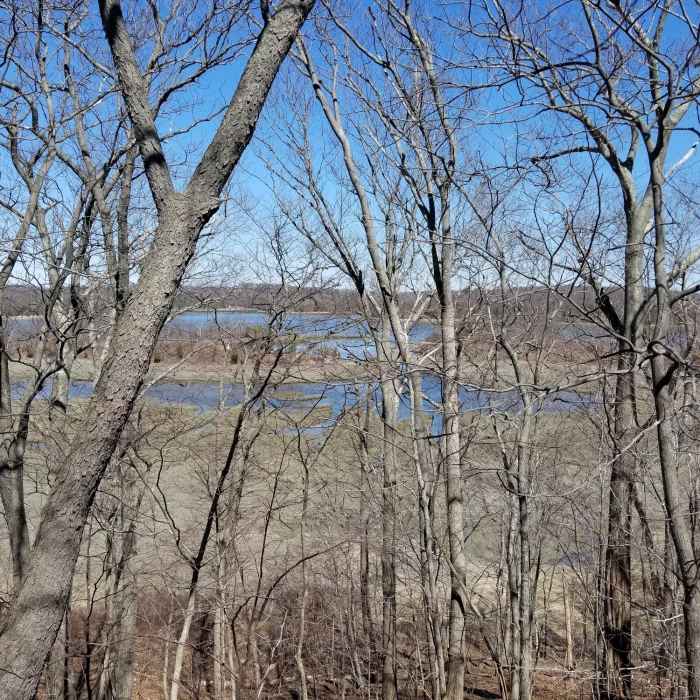View of the Reversing Falls Marsh from the high point of the Great Esker Near Great Esker Trail