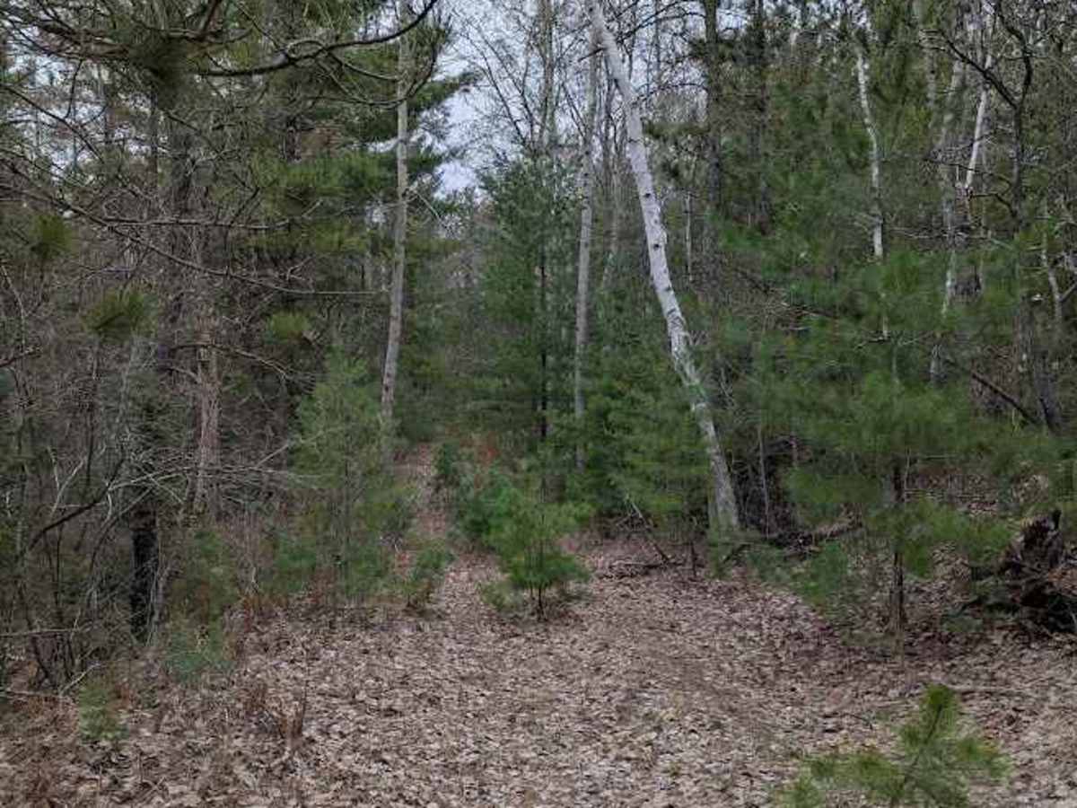 Harrison Loop photo 3