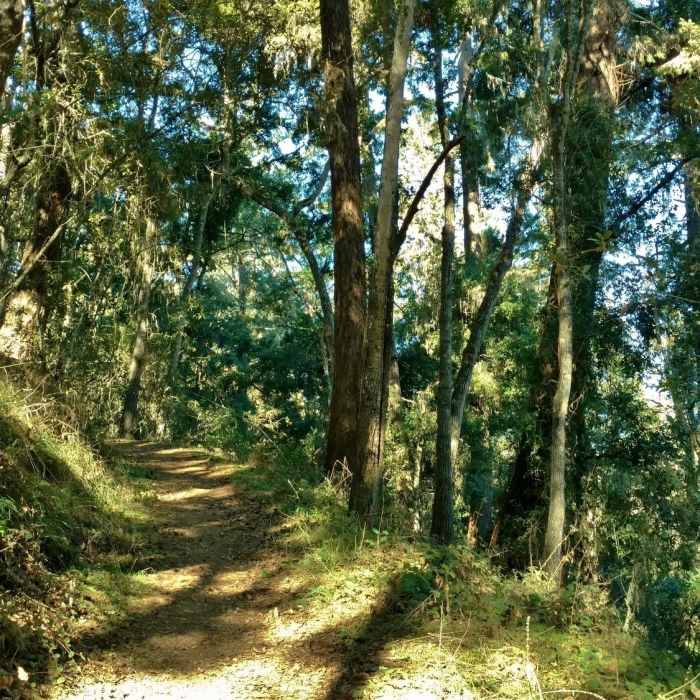 Oak Ridge Trail | Hiking Trail Maps, Difficulty, Trail Status | onX