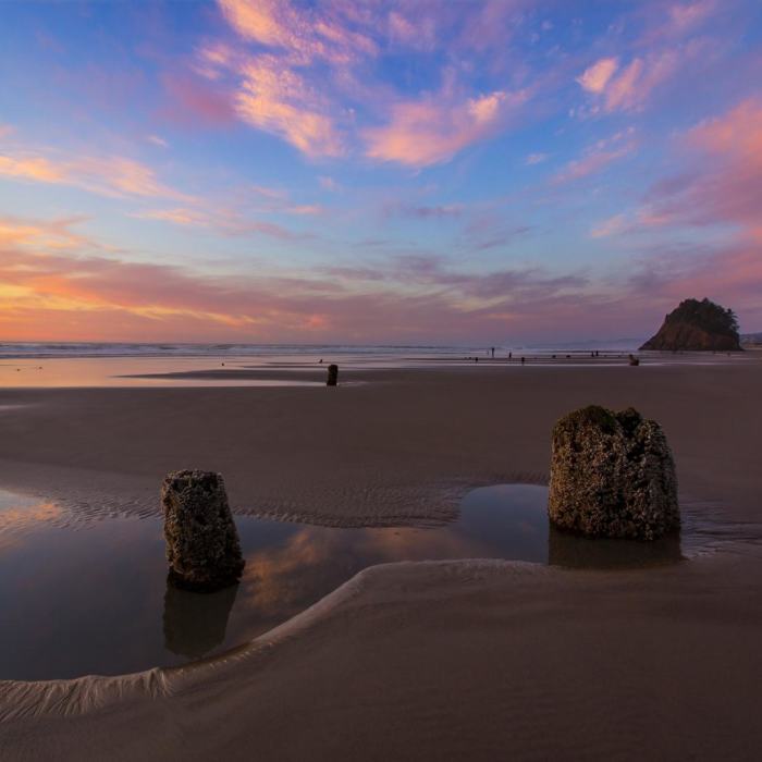 Near Oregon Coast Trail Section 4