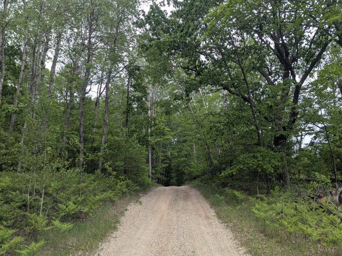 Geels Loop photo 5