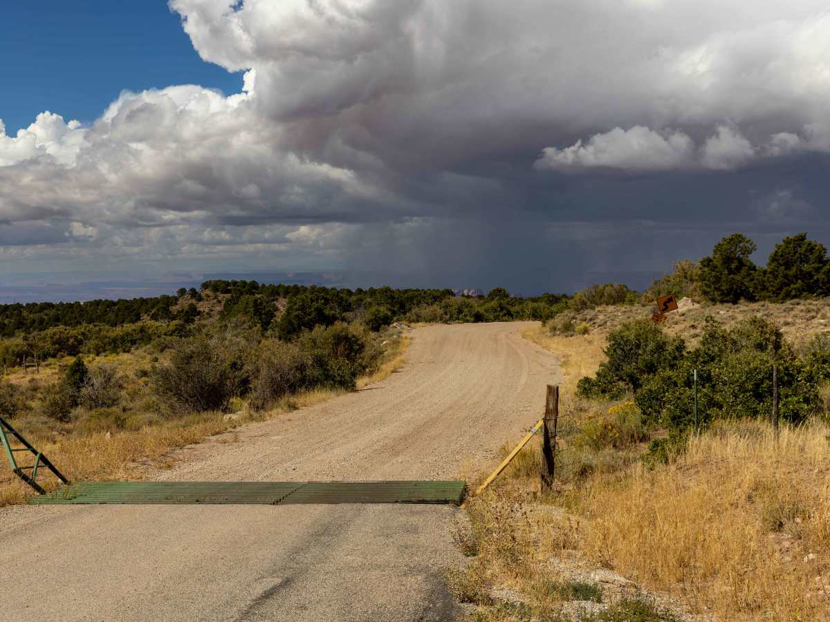 Sand Flats Road trail photo