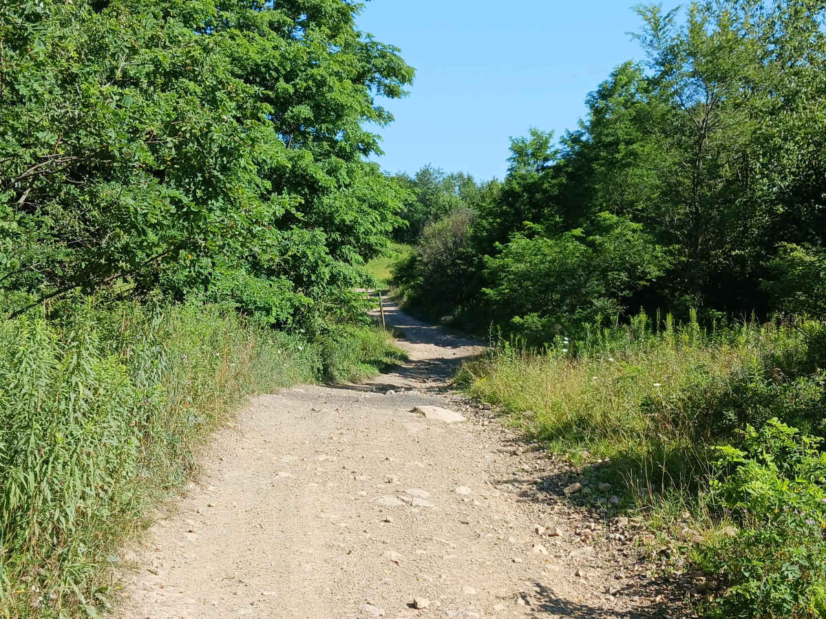 Trail 14 - Rock Run Recreation Area photo 4