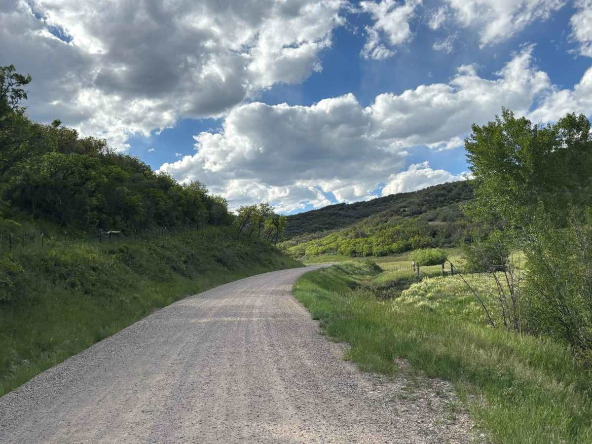 Rifle Creek Road photo 5