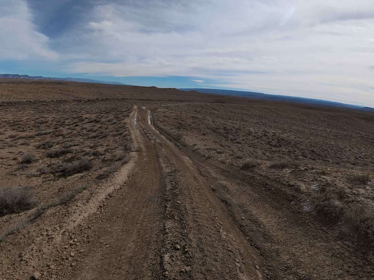 BLM 125 photo 6