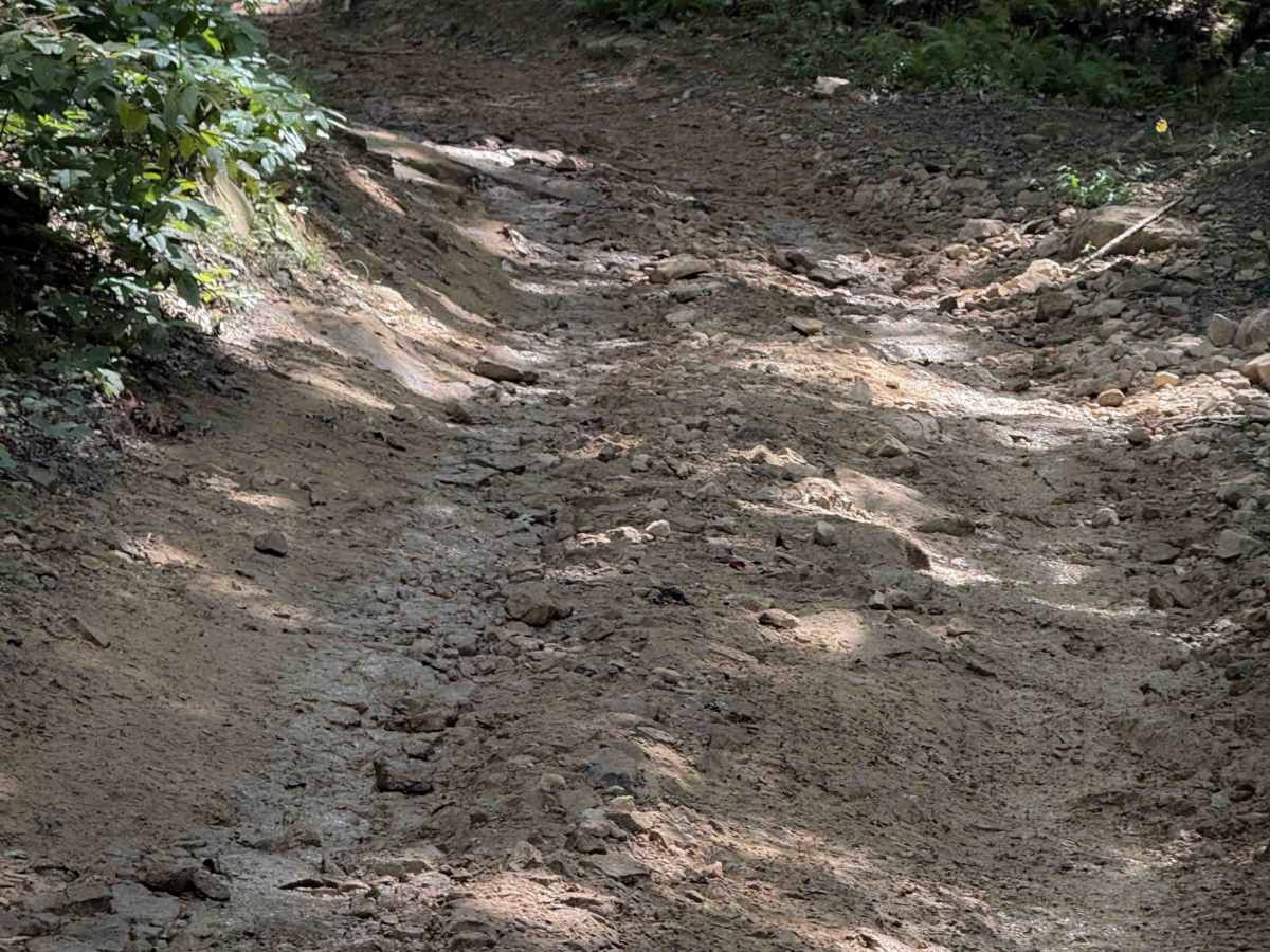 Jennings Creek Trail 8  photo 4