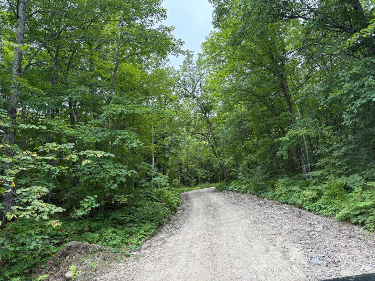 Waptus Forest Road photo 3