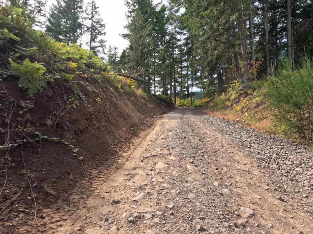 Carson Creek Road photo 5