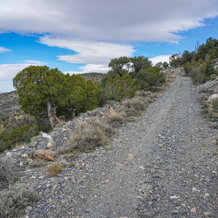 Near Whorehouse Hill Loop