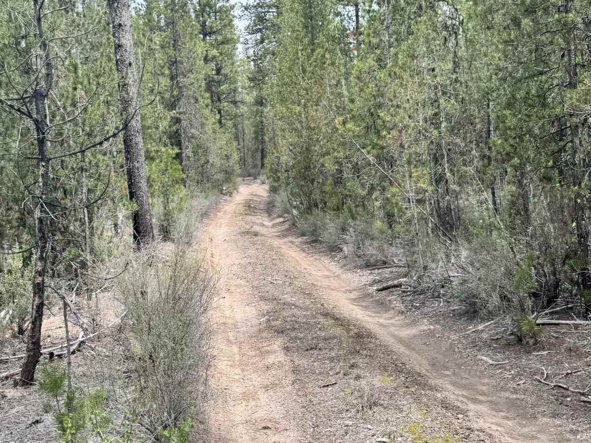 Wocus Bay Road photo 2