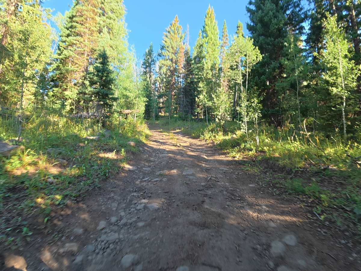 Burrow Mountain Road - FS 246 photo 6