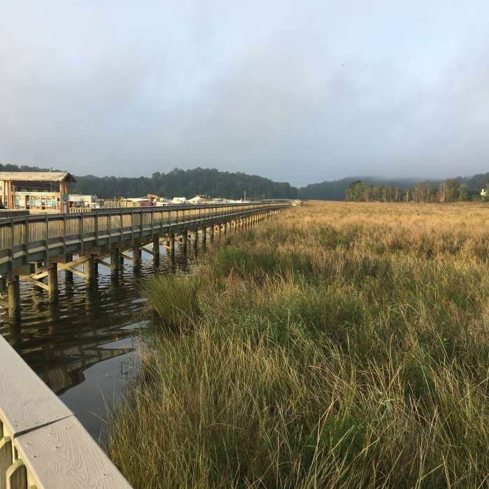 Near Chesapeake Beach Railway Trail